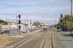 357_North_CP_Palm_32548.jpg