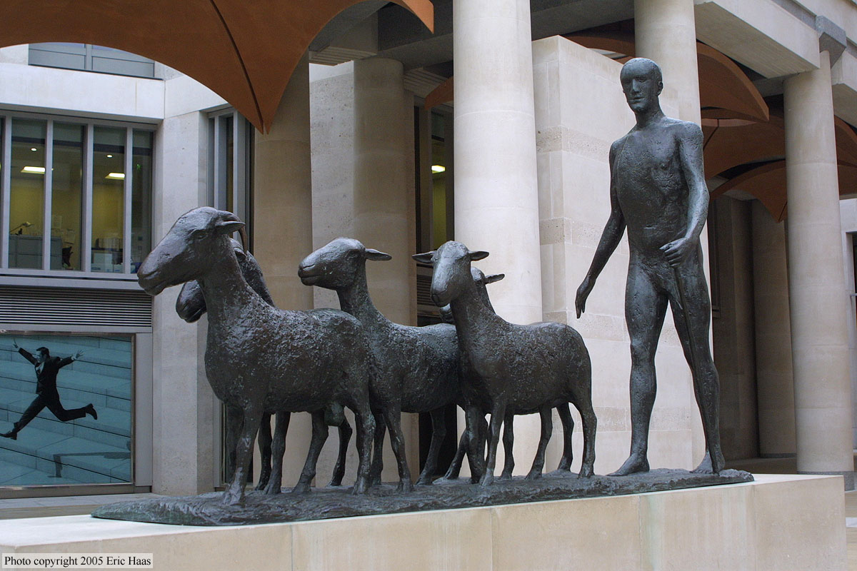 Chasing Sheep