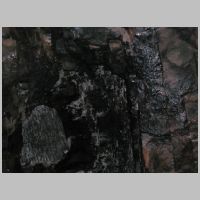 RDG_Rockhill-Tunnel-roof-rocks+bricks-below.jpg