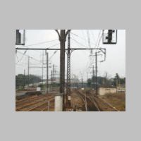 ZOO-79sw-eb.jpg
