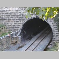CSX_BTSub-HUNTINGDON-AVE-wb-dwarf-App-Med+backlit-leaves.jpg