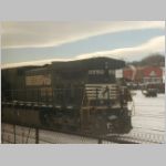NS_9550.jpg