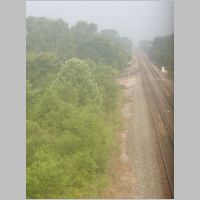 CP-MY-wb-above.jpg