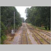 RIDGELY-nb-CPL-mast+dwarf-rear.jpg