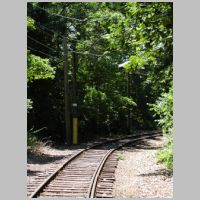 BERA_Main-Line-forest-curve-wb.jpg