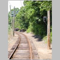 BERA_Signal-22W-Clear.jpg