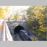 CSX_308-rear-Charles-cut+foliage.jpg