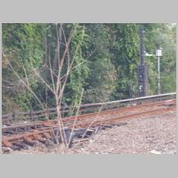 NYCS_Dyre-Line-Dyre-Ave-Int-033sw-points+A-10+CP+-034sig-rear-angle.jpg