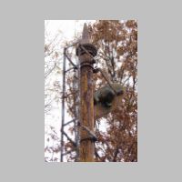 CSX_BTSub-CURTIS-BAY-JCT-wb-tk3-mast-orbital-rear.jpg