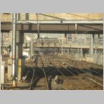 HAROLD-int-wb+813-xover-rev-zoom.jpg