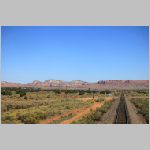 BNSF_Gallup-Sub-134.2-xing-wb+scenery.jpg