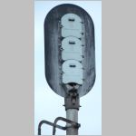 NS_Sou-Main_MIDLAND-sb-canti-tk1-sig-upper-head-rear.jpg