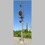 CSX_Philly-Sub-ELISMERE-JCT-wb-CPL-mast-rear-angle.jpg