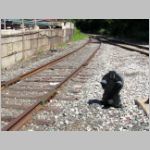 CSX_Philly-Sub-ELISMERE-JCT-wye-CPL-dwarf+IRJs.jpg