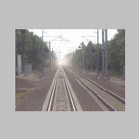 Amt_Shore-Line-Signal-157-rear-dusty.jpg