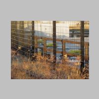 NYC_High-Line-West-Side-Yard-viewing-grate.jpg