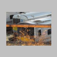 NYC_High-Line-railing-bar+weeds+West-Side-Yard.jpg