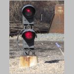 CP-145-wb-conn-tk-dwarf-zoom.jpg