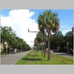 NoRTA_Canal-Line_Broad-St-palm-tree-eb.jpg