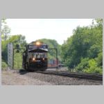 NS_8145-CP-GRAY-zoom.jpg