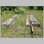 NYC_Clarion-Trestle-west-end-old-xing-wb.jpg