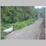 CP-TUNNEL-propane+tk2-eb.jpg