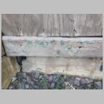 Amt_OAK-tool-house-PC-paint.jpg