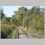 Rockhill-Trolley_Main-Line-cattails-wb.jpg