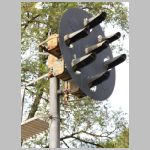 PRR_Main-Line-Signal-2589-wb-tk3-mast-head-angle.jpg