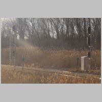 CSX_Barr-Sub-PINE-JCT-wb-masts-rear-angle-zoom-backlit.jpg