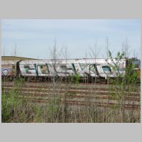 Amt_1xxx-Gusko-Bear-deadline.jpg