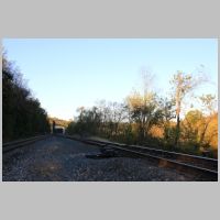 CP-WOOD-3sw-wb.jpg