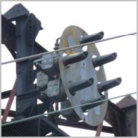 Amt_DAVIS-9S-upper-head-side-angle-cloudy.jpg