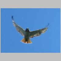 SEPTA_Whitford-Sta-RTH-zoom.jpg