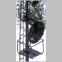 CSX_Capitol-Sub-GREENBELT-3E-target+baskets-rear-angle.jpg