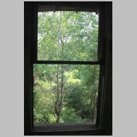 CM-upper-inside-rear-window+trees.jpg