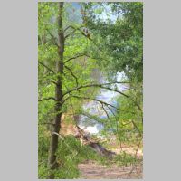 CSX_Abville-Sub-5110-smoking-burn-pile.jpg