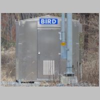 CP-BIRD-eb-side-zoom.jpg