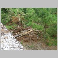 CSX_Abville-Sub-5110-Oconee-Ck-Br-se-down-trees-nb-angle.jpg
