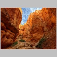 NPS_Bryce-hoodoo-canyon-below-wallpaper.jpg