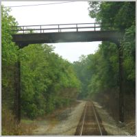 NS_NW-Main-237.87-Irving-Rd-Br-nb.jpg