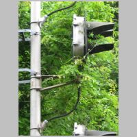 NJT_SOUTH-FISH-2S-middle-head-side.jpg