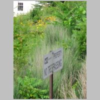 Amt_Fredericksburg-Sta-tk3-plat-north-end-sign+lillies.jpg