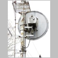 NECR_WINDSOR-sb-mast-lower-head-rear.jpg
