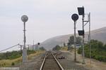 26502_gaviota.jpg